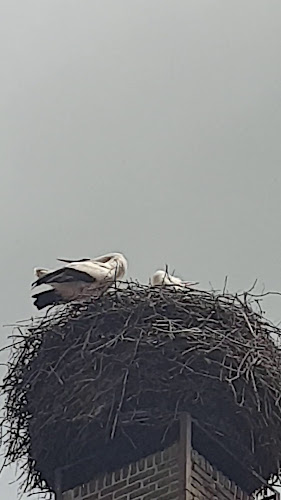 Het Vergulde Ros - Staphorst