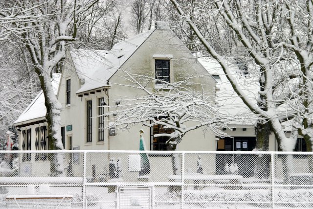 Daal en Bergselaan 11, 2565 AB Den Haag