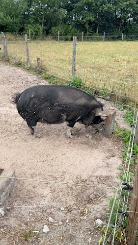 Turnhoutseweg 46 B, 5541 NZ Reusel