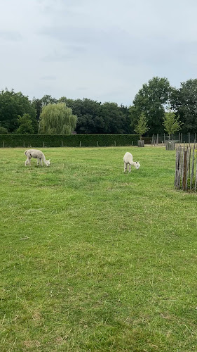 Pannenkoekenherberg Hollandershoeve