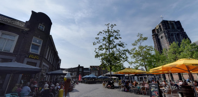 Comentarii opinii despre El Toro Negro