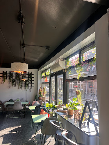 Comentarii opinii despre Zaytoona