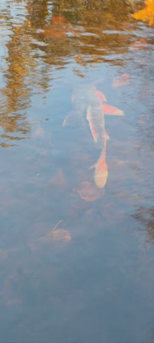 Havenstraat 58, 1211 KM Hilversum