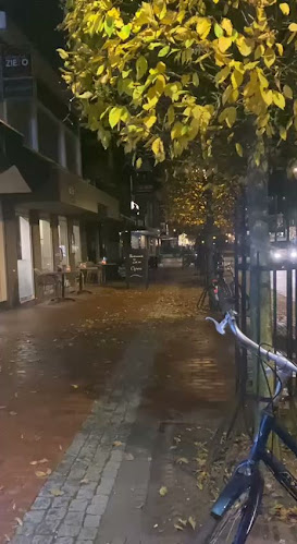 Comentarii opinii despre De Koele