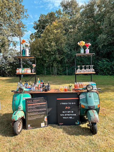 Comentarii opinii despre Baravan Concepts