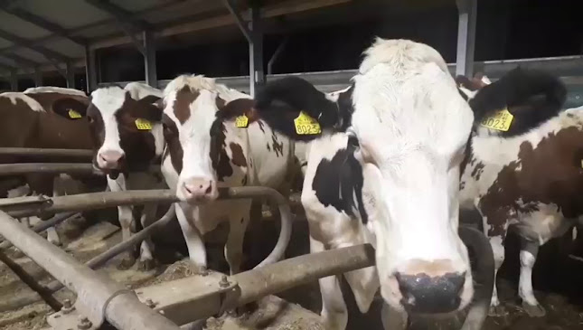 Proeflokaal Bregje Oisterwijk