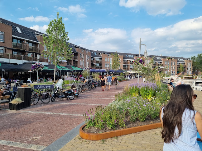 Comentarii opinii despre Treasure