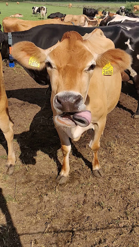 Reviews of De IJskuip/Erve Kuiper in Denekamp - Horeca