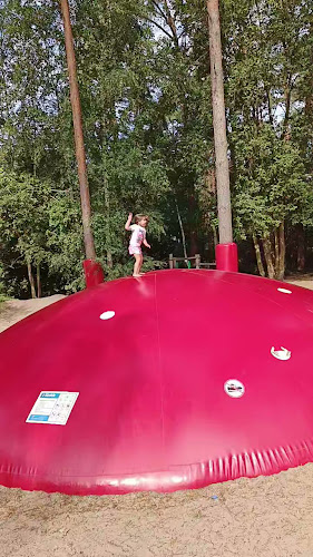 Comentarii opinii despre Het Grote Kabouterbos