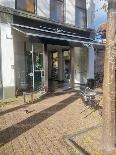 Comentarii opinii despre IJssalon Salute B.V.