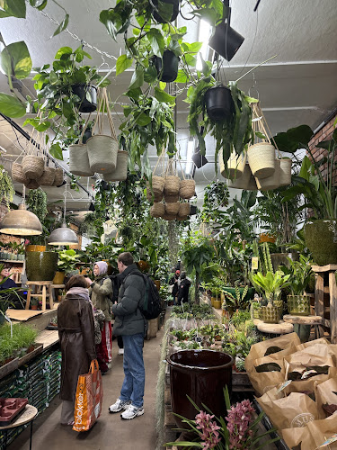Comentarii opinii despre De Plantenmarkt Amsterdam