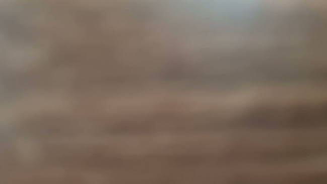 Opinii despre De Plantage în Hazerswoude-Rijndijk - Horeca