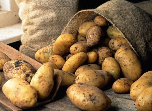 Opinii despre Hans & Frietje Mijdrecht în Mijdrecht - Horeca