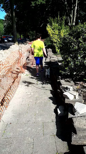 Opinii despre Italgusto Hekelingen în Hekelingen - Horeca