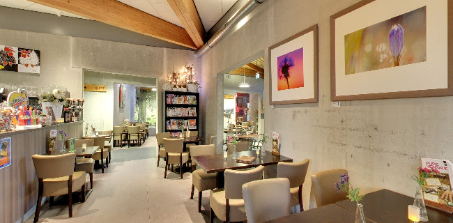 Comentarii opinii despre Brasserie T-Huis