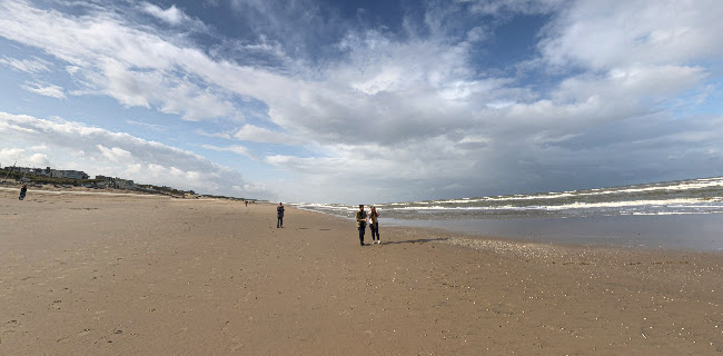 Alexander Beach Club