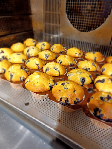 Comentarii opinii despre Mees City