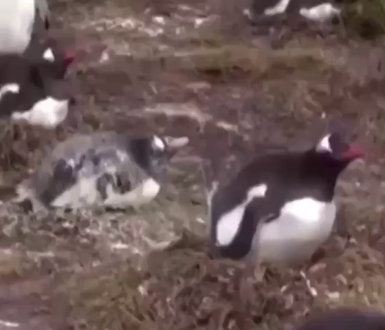 Reviews of Brasserie De Rotterdammer in Botlek Rotterdam - Horeca