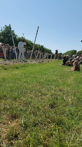 IJsboerderij en Minicamping De Koehoorn