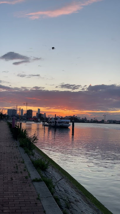 Toetie Froetie gedroogd fruit