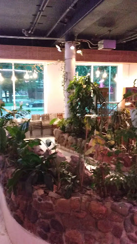 Opinii despre ALOHA - low waste foodbar în Rotterdam - Horeca