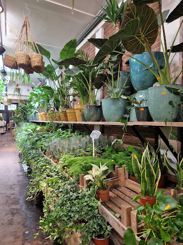 De Plantenmarkt Amsterdam - Amsterdam