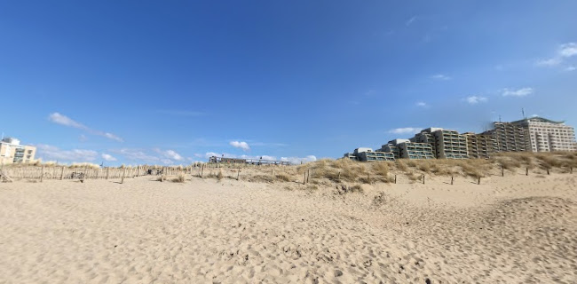 Alexander Beach Club - Horeca