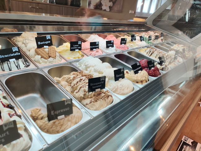 Opinii despre Wijs, ambachtelijk ijs - Gendt în Gendt - Horeca