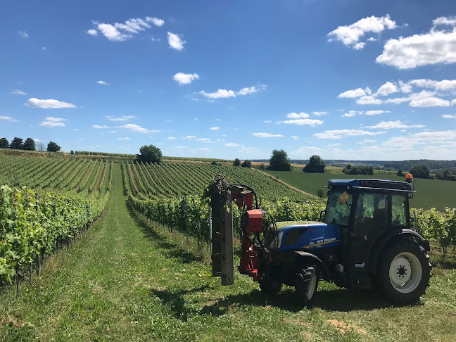 Reviews of Wijndomein St. Martinus, locatie Langeberg in Voerendaal - Horeca