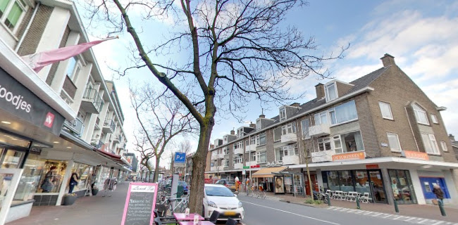 Theresiastraat 142, 2593 AT Den Haag