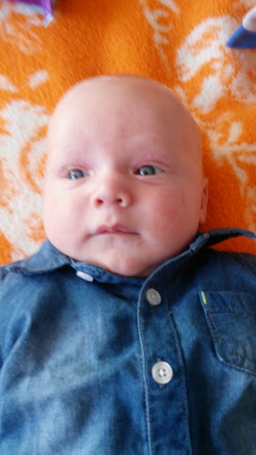 Loetje Bergen Phone number