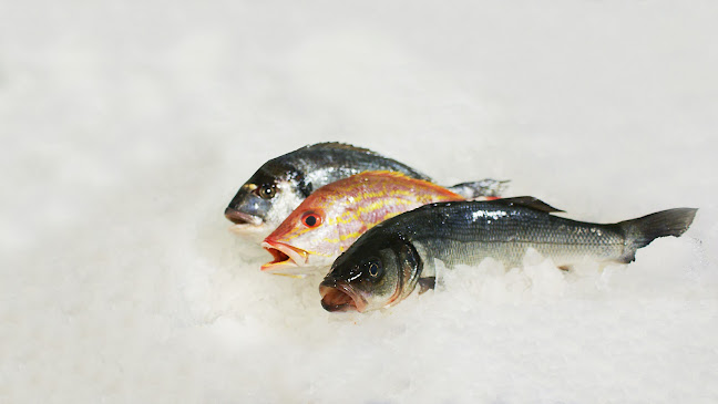 het Suezkanaal - Horeca