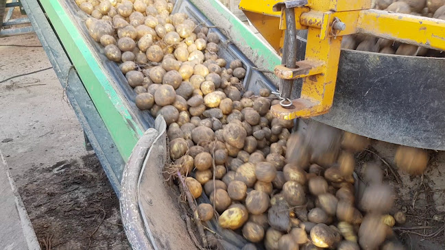 Opinii despre Beleef Het En Eet Het în Strijen - Horeca