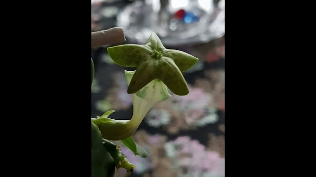 Reviews of Café Zaal De HeerenMeester in Schijndel - Horeca