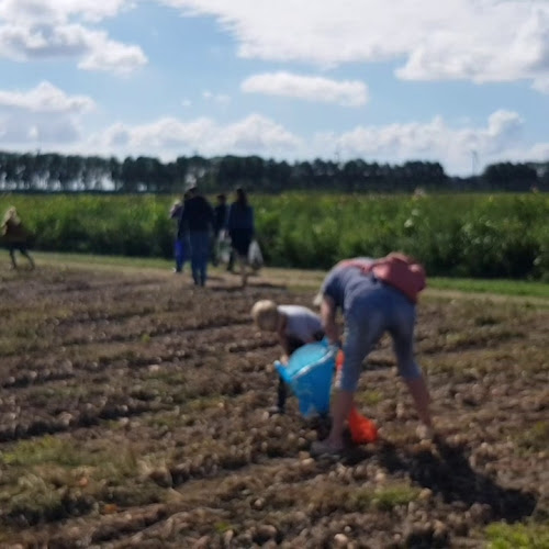 Beleef Het En Eet Het - Strijen