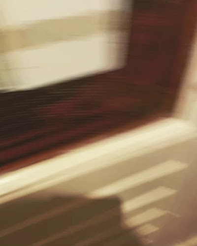 Opinii despre Warung Domburg în Amsterdam - Horeca