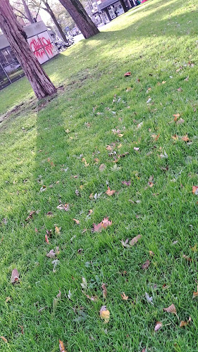 Café Steijn - Rotterdam