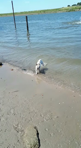 Italgusto Hekelingen