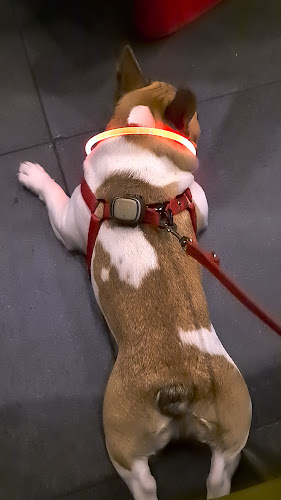 Comentarii opinii despre Restaurant Olijfje