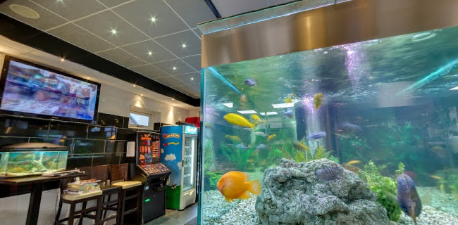 Dijkweg 390, 1619 JN Andijk