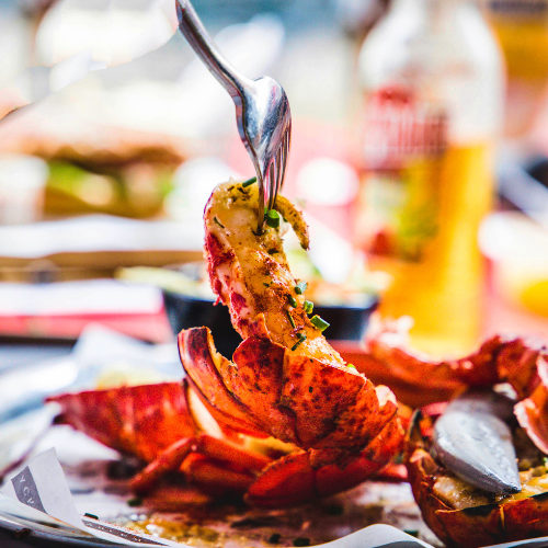 The Louisiana Lobstershack