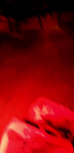 Café in The City Phone number