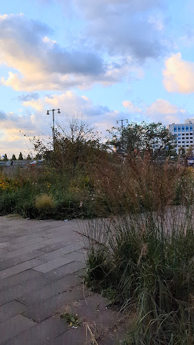 Grand Café Hermes - Amsterdam