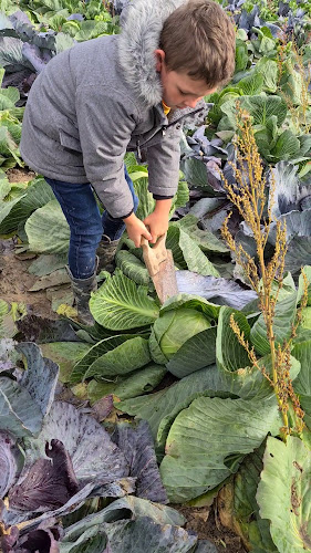 Beleef Het En Eet Het