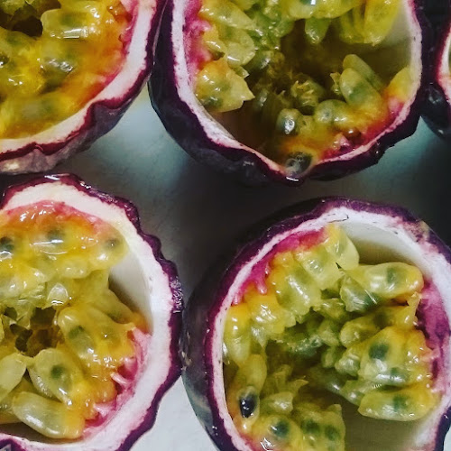 Comentarii opinii despre Symbiose