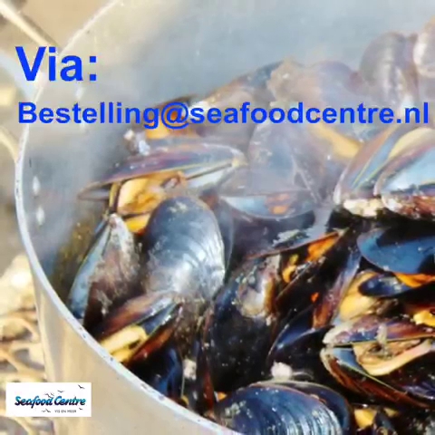 Opinii despre Seafood Centre în Den Haag - Horeca