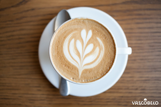 Vascobelo V-bar Rijnstraat