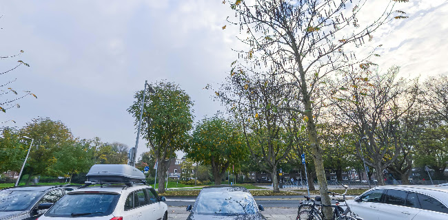 Opinii despre Powerfull Pizza în Amsterdam - Horeca