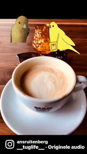 De Gele Kanarie Cafe - Binnenrotte