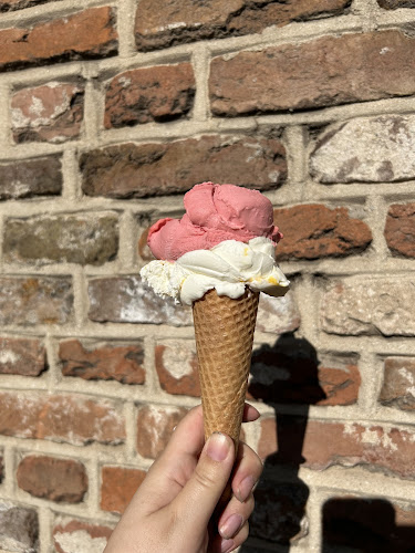 Opinii despre IJssalon Salute B.V. în Zwolle - Horeca